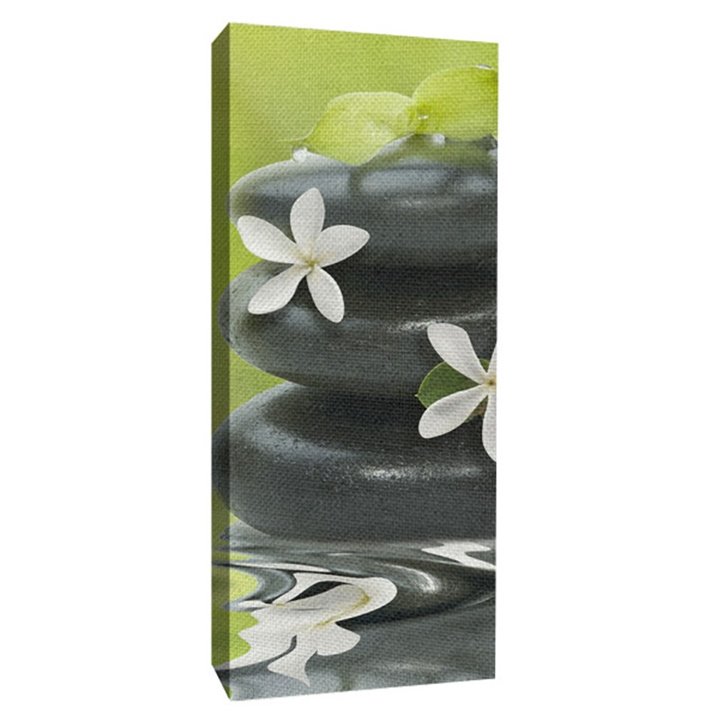 fotoLienzo-panorámico-vertical-color