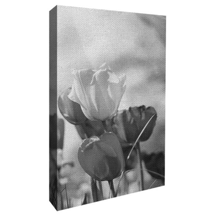 fotoLienzo-vertical-blanco-y-negro