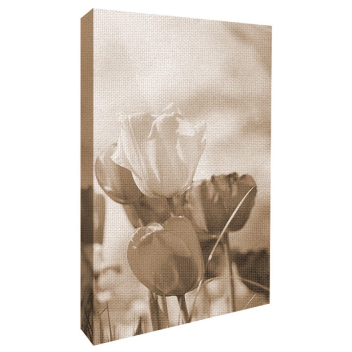 fotoLienzo-vertical-sepia