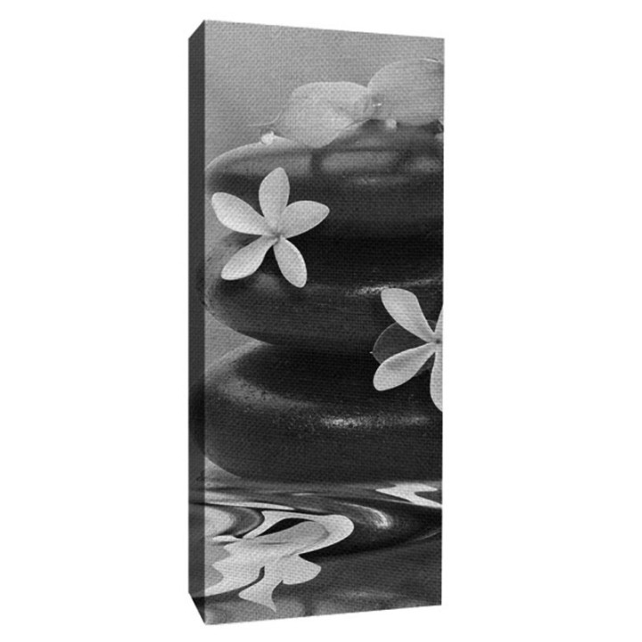 fotoLienzo-panoramico-vertical-blanco-y-negro